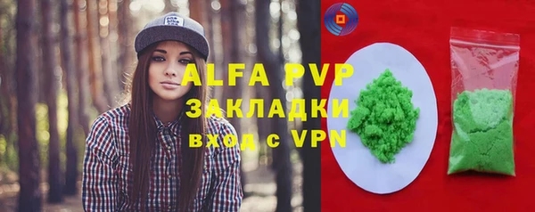стаф Надым