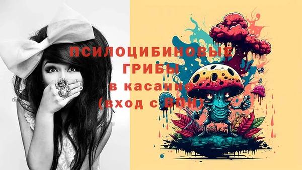 стаф Надым