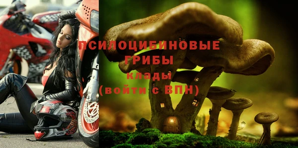 гашик Навашино