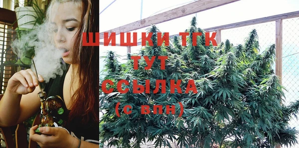 стаф Надым