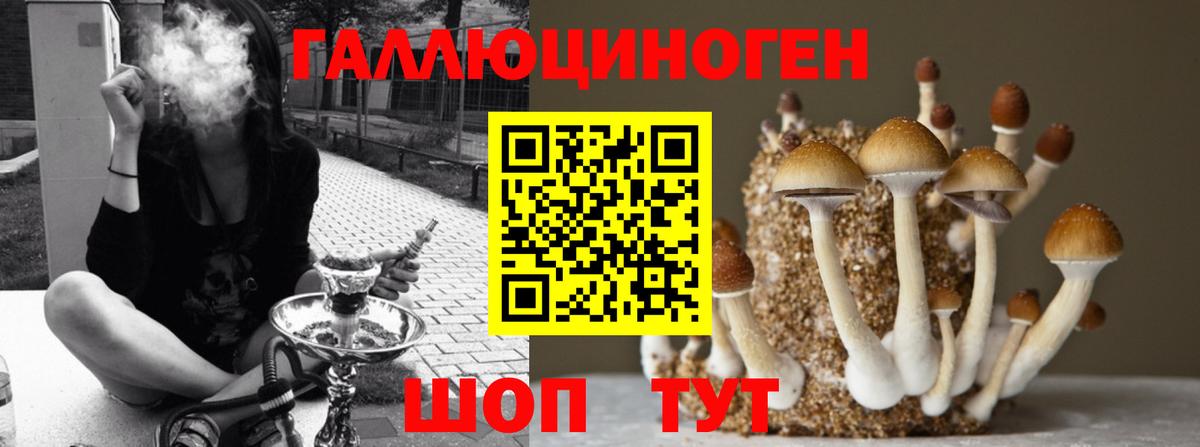 Галлюциногенные грибы ЛСД  Вход с VPN  Дубна  Псилоцибиновые грибы Psilocybine cubensis 